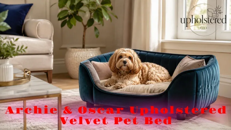 Archie & Oscar Upholstered Velvet Pet Bed